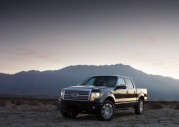 2009 Ford F-150